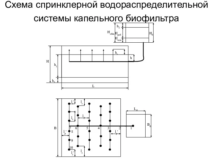 Схема спринклерной водораспределительной системы капельного биофильтра