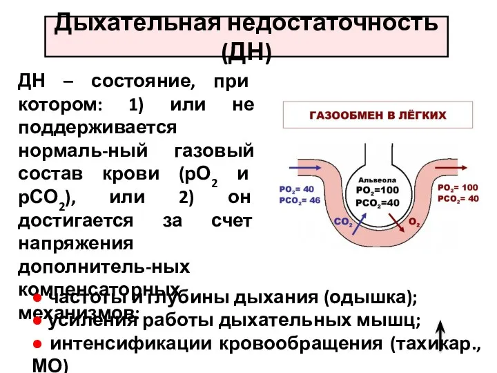 Дыхательная недостаточность (ДН) ДН – состояние, при котором: 1) или не поддерживается