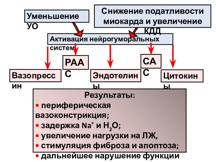 Активация нейрогуморальных систем РААС САС Вазопрессин Эндотелины Цитокины Результаты: • периферическая вазоконстрикция;