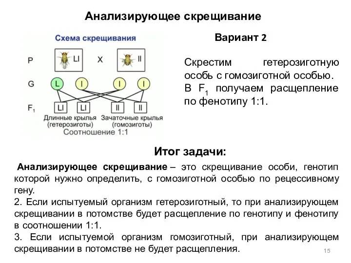 Скрестим гетерозиготную особь с гомозиготной особью. В F1 получаем расщепление по фенотипу