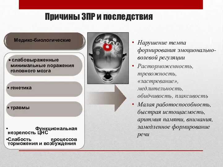 Причины ЗПР и последствия Нарушение темпа формирования эмоционально-волевой регуляции Расторможенность, тревожность, «застревание»,