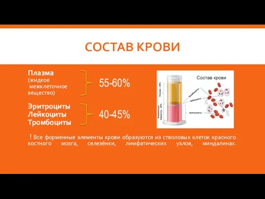 СОСТАВ КРОВИ Плазма (жидкое межклеточное вещество) Эритроциты Лейкоциты Тромбоциты ! Все форменные