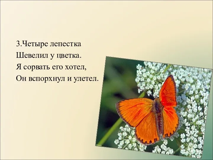 3.Четыре лепестка Шевелил у цветка. Я сорвать его хотел, Он вспорхнул и улетел.