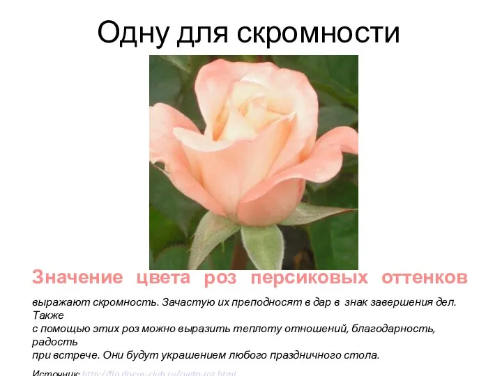 Одну для скромности Значение цвета роз персиковых оттенков выражают скромность. Зачастую их