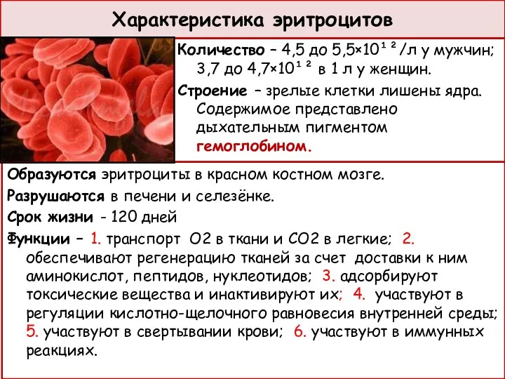 Характеристика эритроцитов Количество – 4,5 до 5,5×10¹²/л у мужчин; 3,7 до 4,7×10¹²