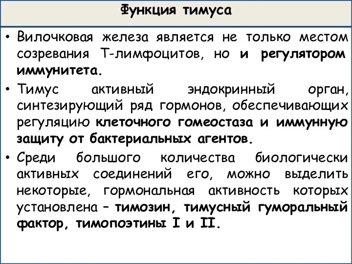 Функция тимуса Вилочковая железа является не только местом созревания Т-лимфоцитов, но и