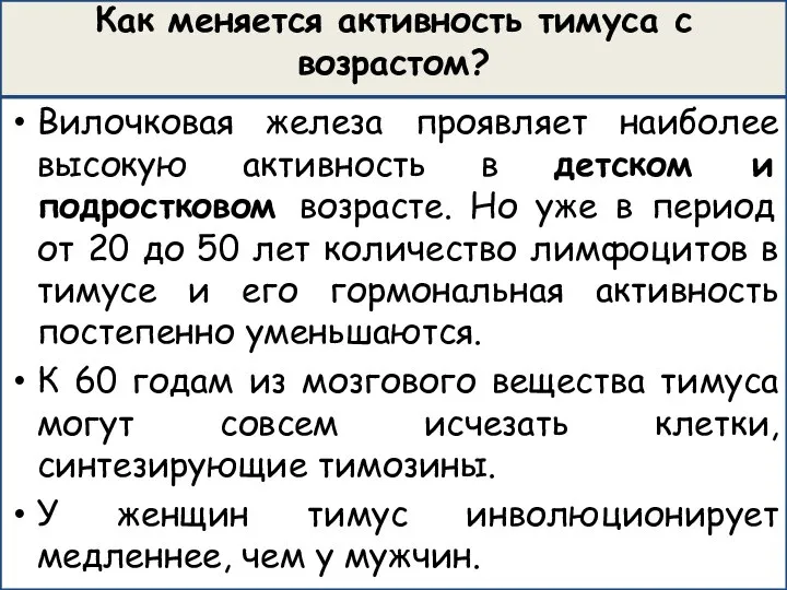 Как меняется активность тимуса с возрастом? Вилочковая железа проявляет наиболее высокую активность