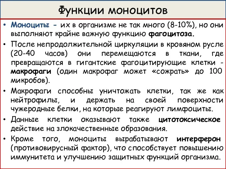 Функции моноцитов Моноциты - их в организме не так много (8-10%), но