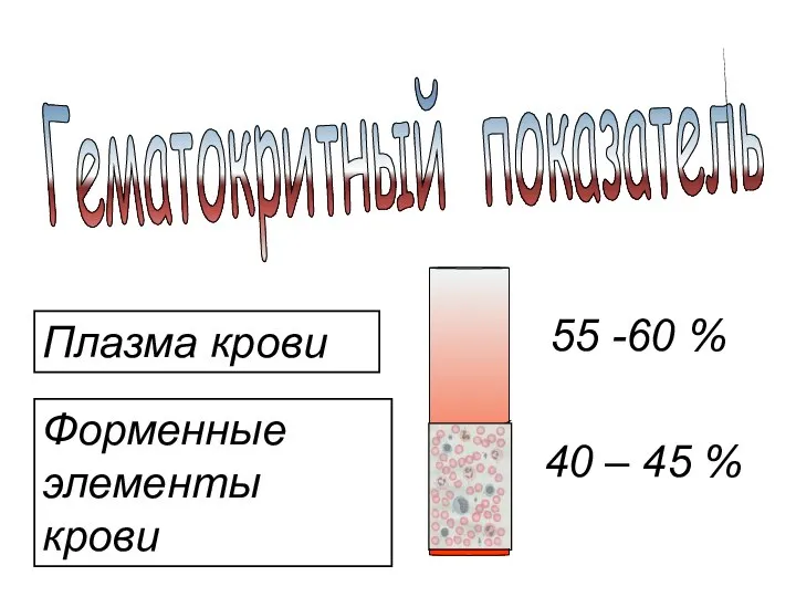 Гематокритный показатель Плазма крови Форменные элементы крови 55 -60 % 40 – 45 %