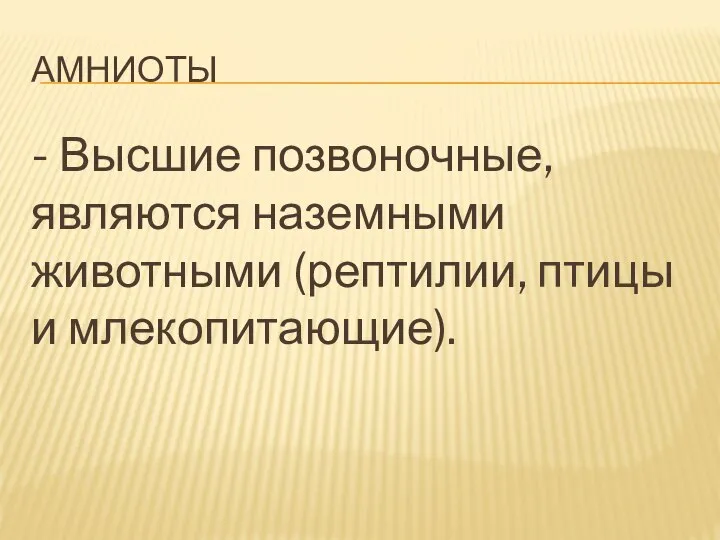 АМНИОТЫ - Высшие позвоночные, являются наземными животными (рептилии, птицы и млекопитающие).