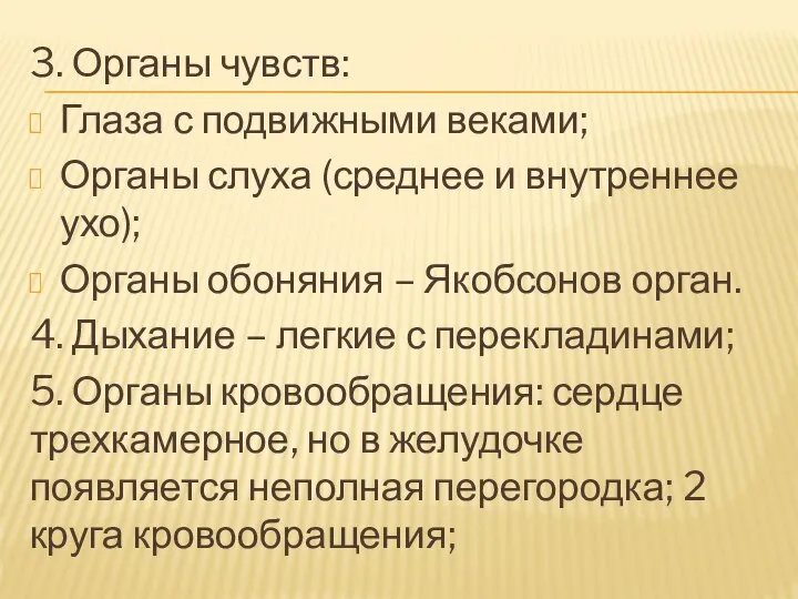 3. Органы чувств: Глаза с подвижными веками; Органы слуха (среднее и внутреннее