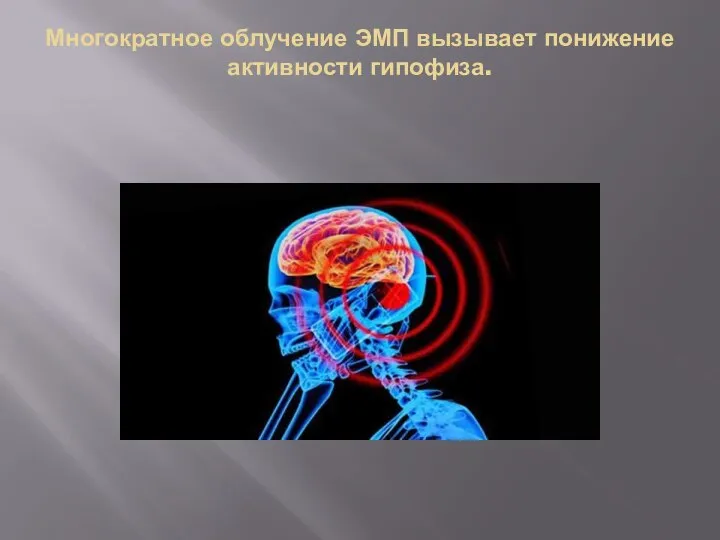 Многократное облучение ЭМП вызывает понижение активности гипофиза.