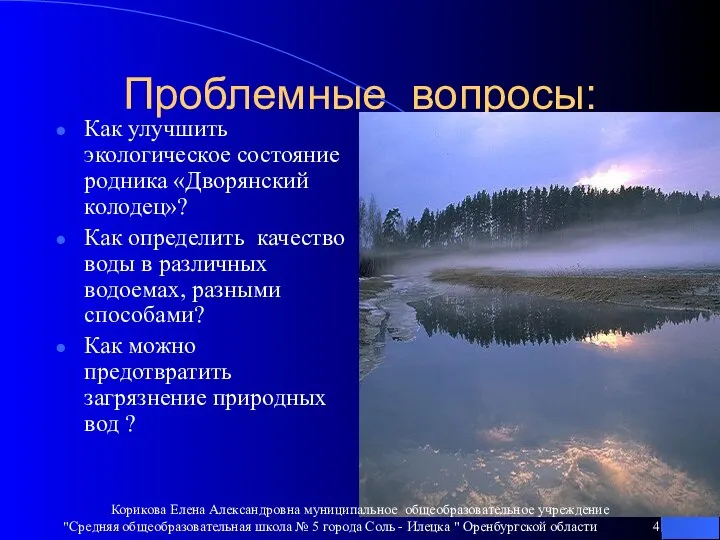 Проблемные вопросы: Как улучшить экологическое состояние родника «Дворянский колодец»? Как определить качество