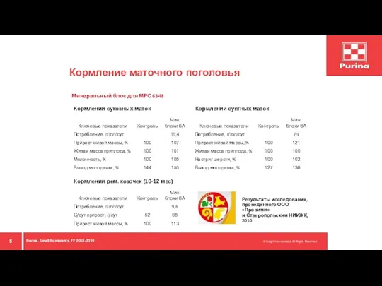 Кормление маточного поголовья Минеральный блок для МРС 6348 Кормлении сукозных маток Кормлении