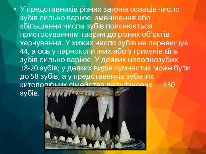 У представників різних загонів ссавців число зубів сильно варіює: зменшення або збільшення