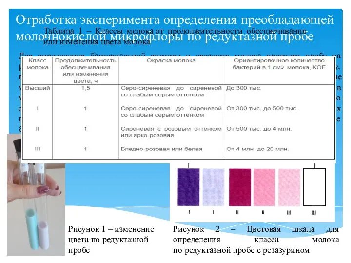 Отработка эксперимента определения преобладающей молочнокислой микрофлоры по редуктазной пробе Для определения бактериальной