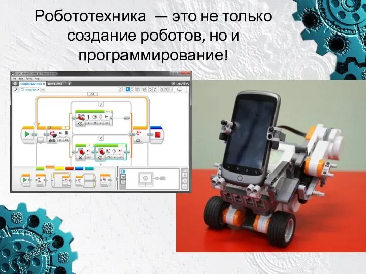 Робототехника — это не только создание роботов, но и программирование!