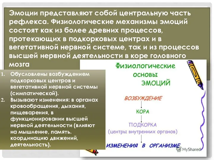 Эмоции представляют собой центральную часть рефлекса. Физиологические механизмы эмоций состоят как из