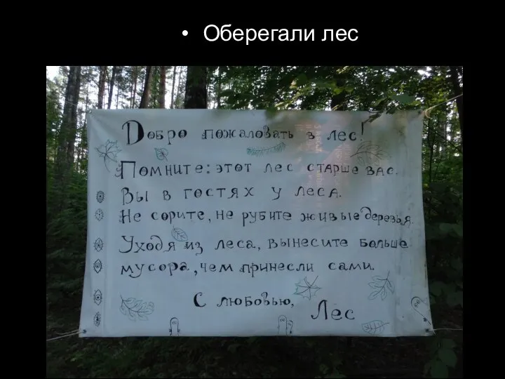 Оберегали лес