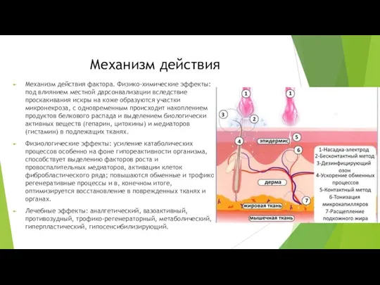 Механизм действия Механизм действия фактора. Физико-химические эффекты: под влиянием местной дарсонвализации вследствие