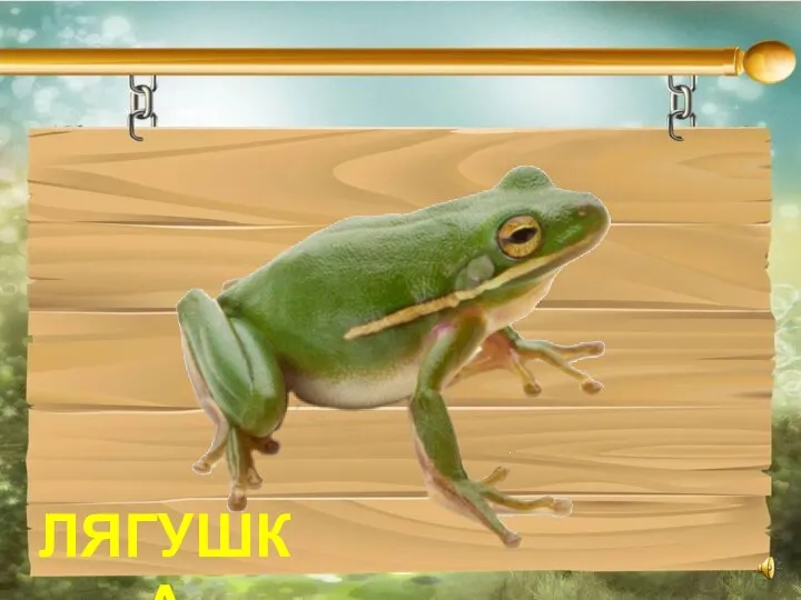 ЛЯГУШКА