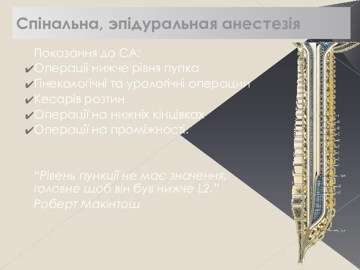 Спінальна, эпідуральная анестезія Показання до СА: Операціі нижче рівня пупка Гінекологічні та