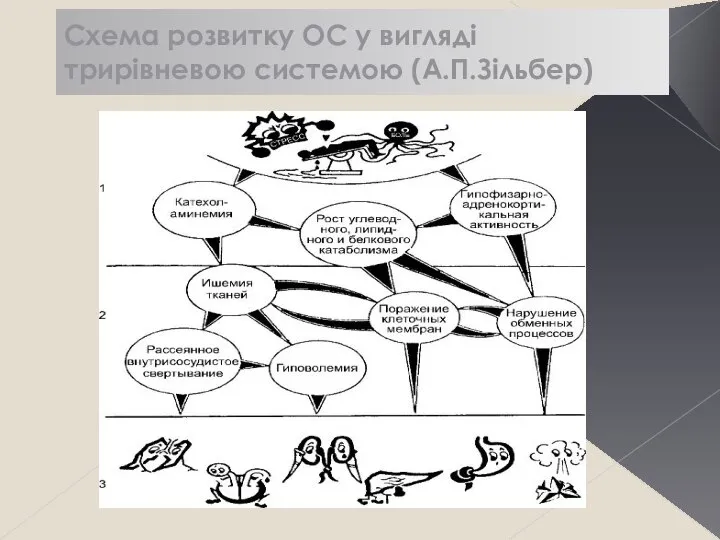 Схема розвитку ОС у вигляді трирівневою системою (А.П.Зільбер)