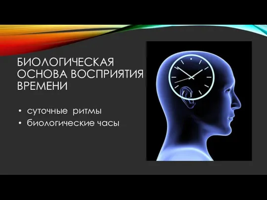 БИОЛОГИЧЕСКАЯ ОСНОВА ВОСПРИЯТИЯ ВРЕМЕНИ суточные ритмы биологические часы