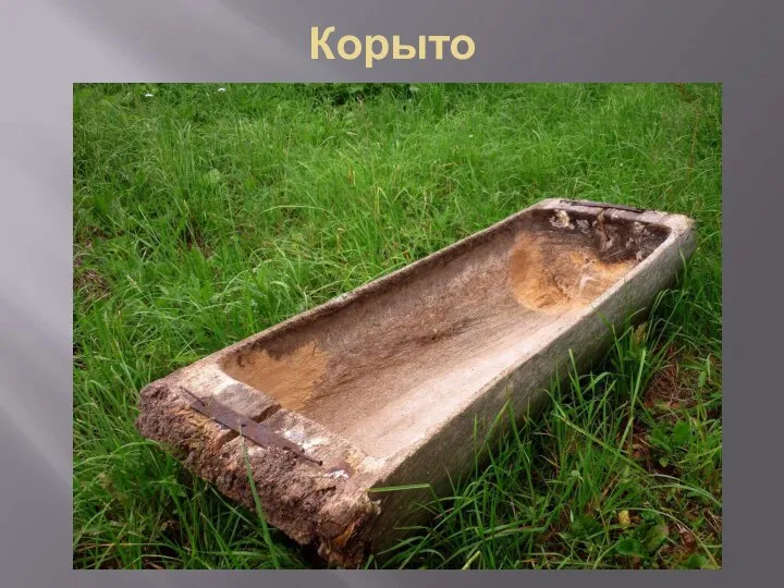 Корыто