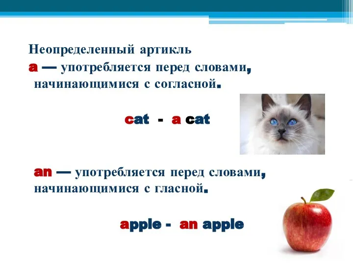 Неопределенный артикль a — употребляется перед словами, начинающимися с согласной. cat -