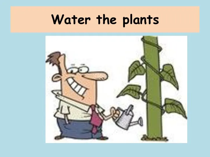 Water the plants