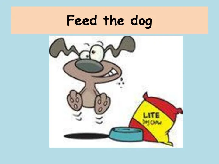Feed the dog