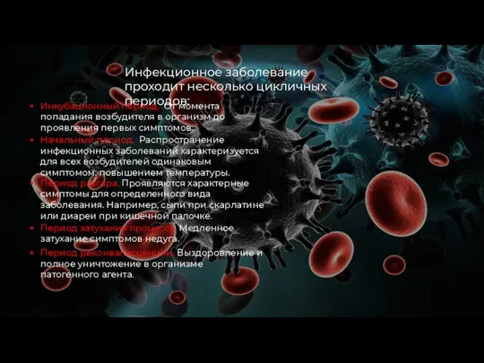 Инфекционное заболевание проходит несколько цикличных периодов: Инкубационный период. От момента попадания возбудителя