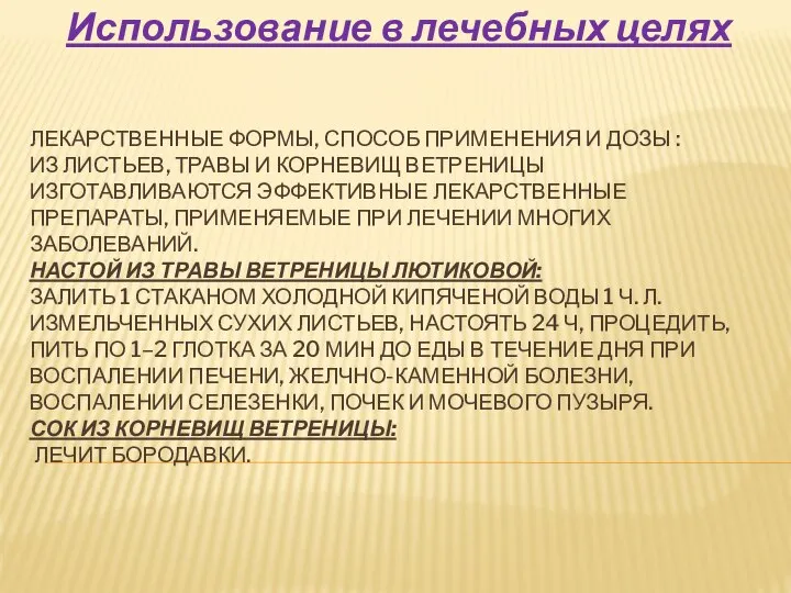 ЛЕКАРСТВЕННЫЕ ФОРМЫ, СПОСОБ ПРИМЕНЕНИЯ И ДОЗЫ : ИЗ ЛИСТЬЕВ, ТРАВЫ И КОРНЕВИЩ