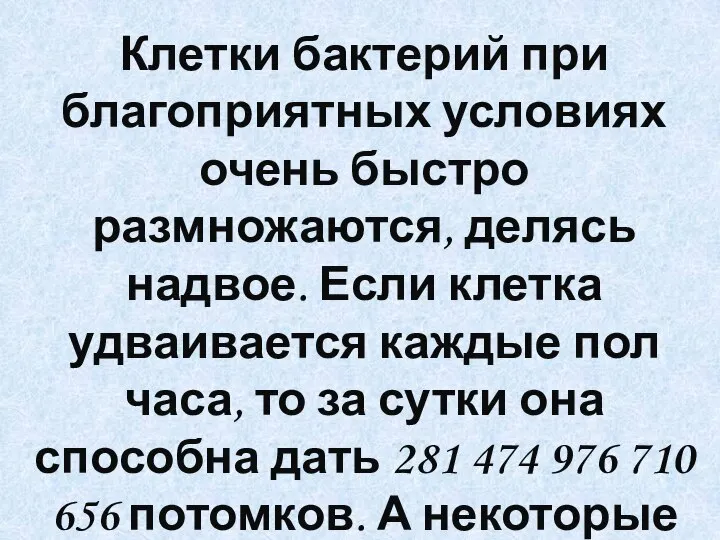 Клетки бактерий при благоприятных условиях очень быстро размножаются, делясь надвое. Если клетка