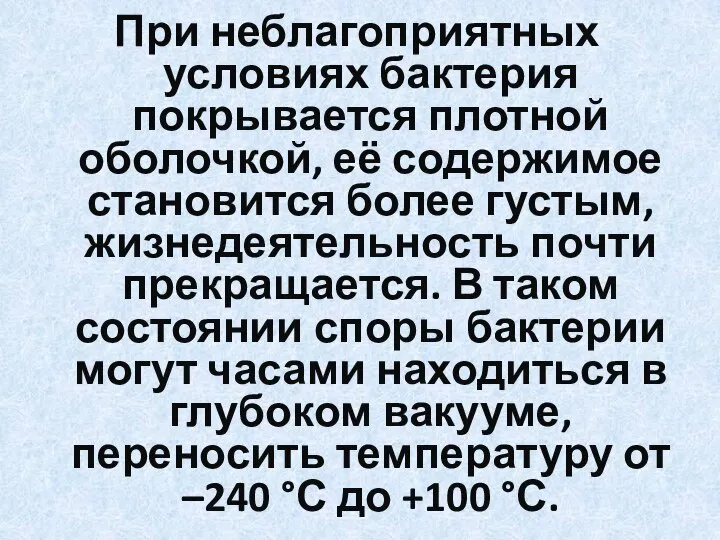 При неблагоприятных условиях бактерия покрывается плотной оболочкой, её содержимое становится более густым,