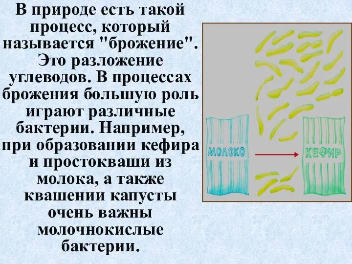 В природе есть такой процесс, который называется "брожение". Это разложение углеводов. В