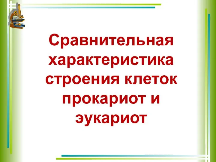 Сравнительная характеристика строения клеток прокариот и эукариот