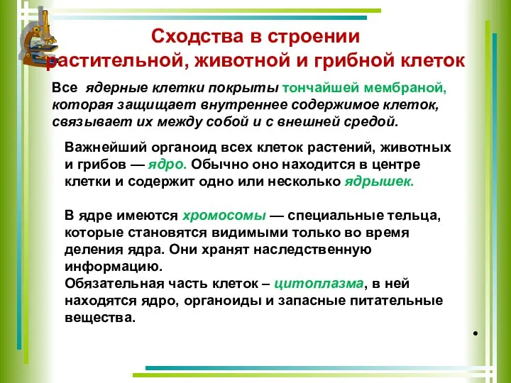 . Сходства в строении растительной, животной и грибной клеток Все ядерные клетки