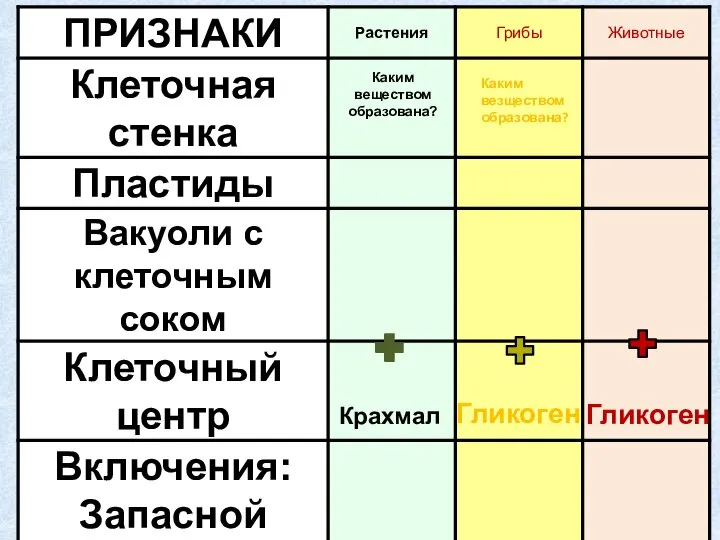 Каким веществом образована? Крахмал Каким везществом образована? Гликоген Гликоген