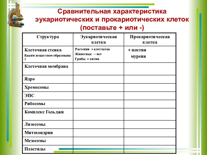 Сравнительная характеристика эукариотических и прокариотических клеток (поставьте + или -)