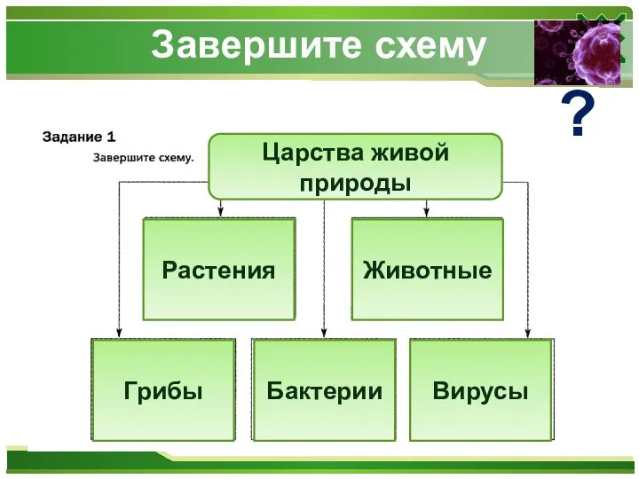 Завершите схему ? Растения Животные Грибы Бактерии Вирусы Царства живой природы