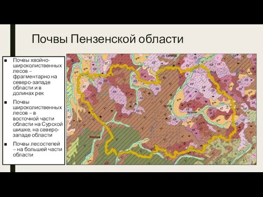 Почвы Пензенской области Почвы хвойно-широколиственных лесов – фрагментарно на северо-западе области и