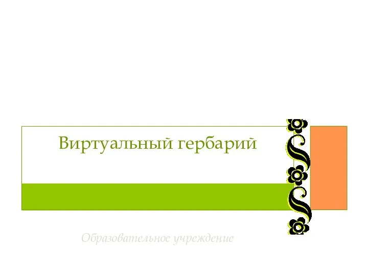 Виртуальный гербарий Исполнитель: Образовательное учреждение