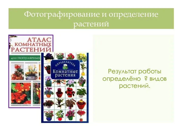 Фотографирование и определение растений Результат работы определёно ? видов растений.