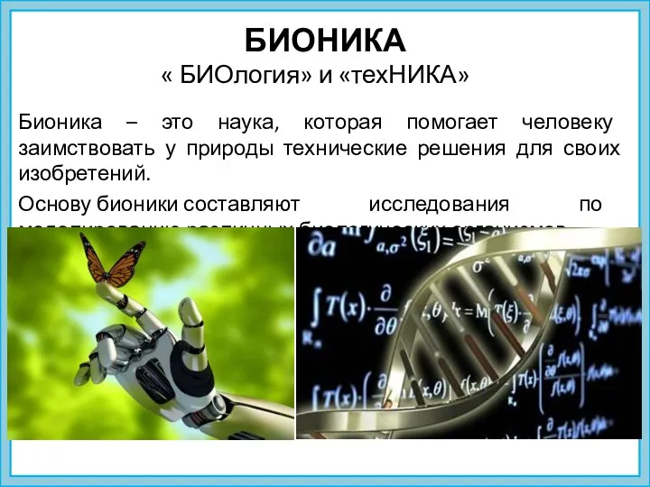 БИОНИКА « БИОлогия» и «техНИКА» Бионика – это наука, которая помогает человеку