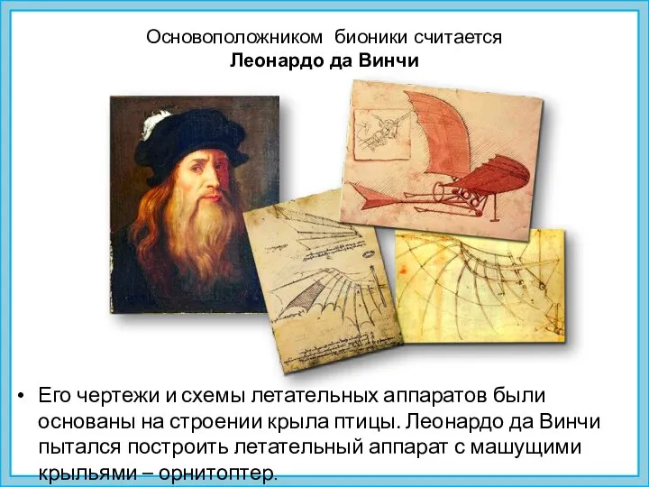 Основоположником бионики считается Леонардо да Винчи Его чертежи и схемы летательных аппаратов