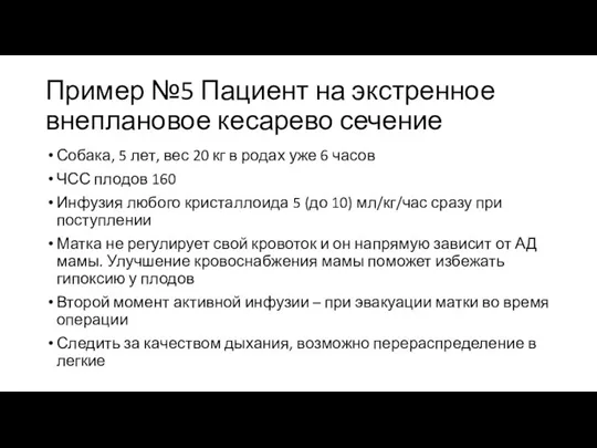 Пример №5 Пациент на экстренное внеплановое кесарево сечение Собака, 5 лет, вес