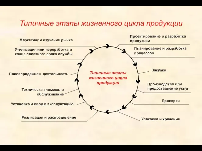 Типичные этапы жизненного цикла продукции Планирование и разработка процессов Производство или предоставление услуг Проверки