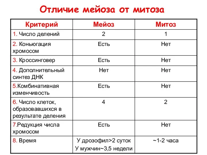 Отличие мейоза от митоза